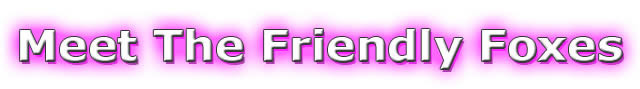 Vancouver's friendlest escorts